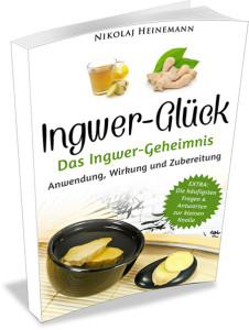 Ingwerglueck E-Book